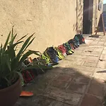 旅馆 库鲁科斯旅舍